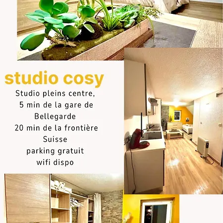 Cozy Near Train Station And Swiss Border * Bellegarde-sur-Valserine