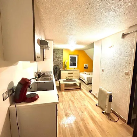 Apartment Cozy Near Train Station And Swiss Border Bellegarde-sur-Valserine
